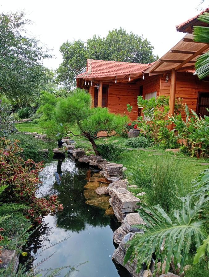 Sora Homestay Плейку Экстерьер фото