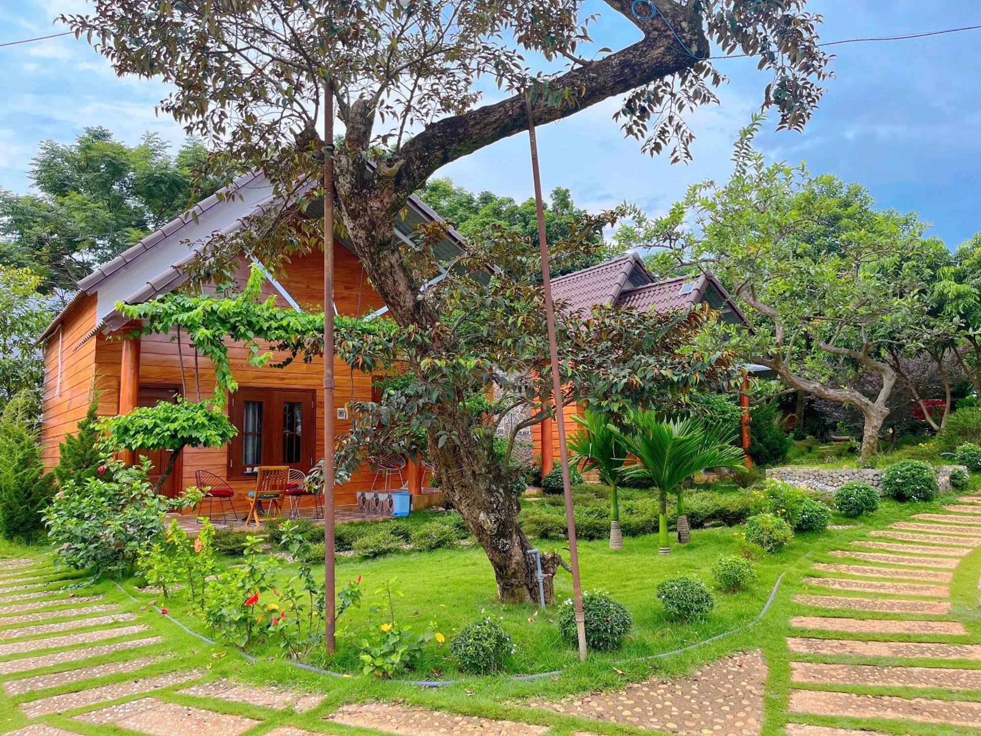 Sora Homestay Плейку Экстерьер фото